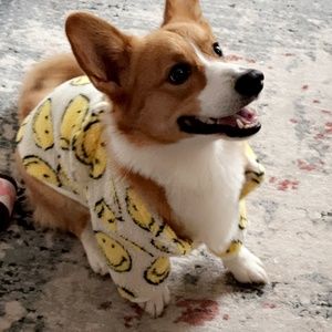 Meet your Posher, Justin